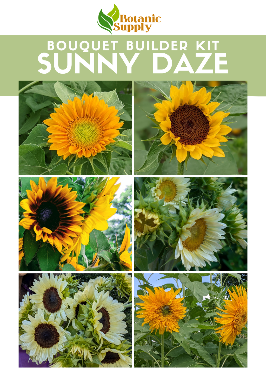 Sunny Daze Bouquet Builder Kit