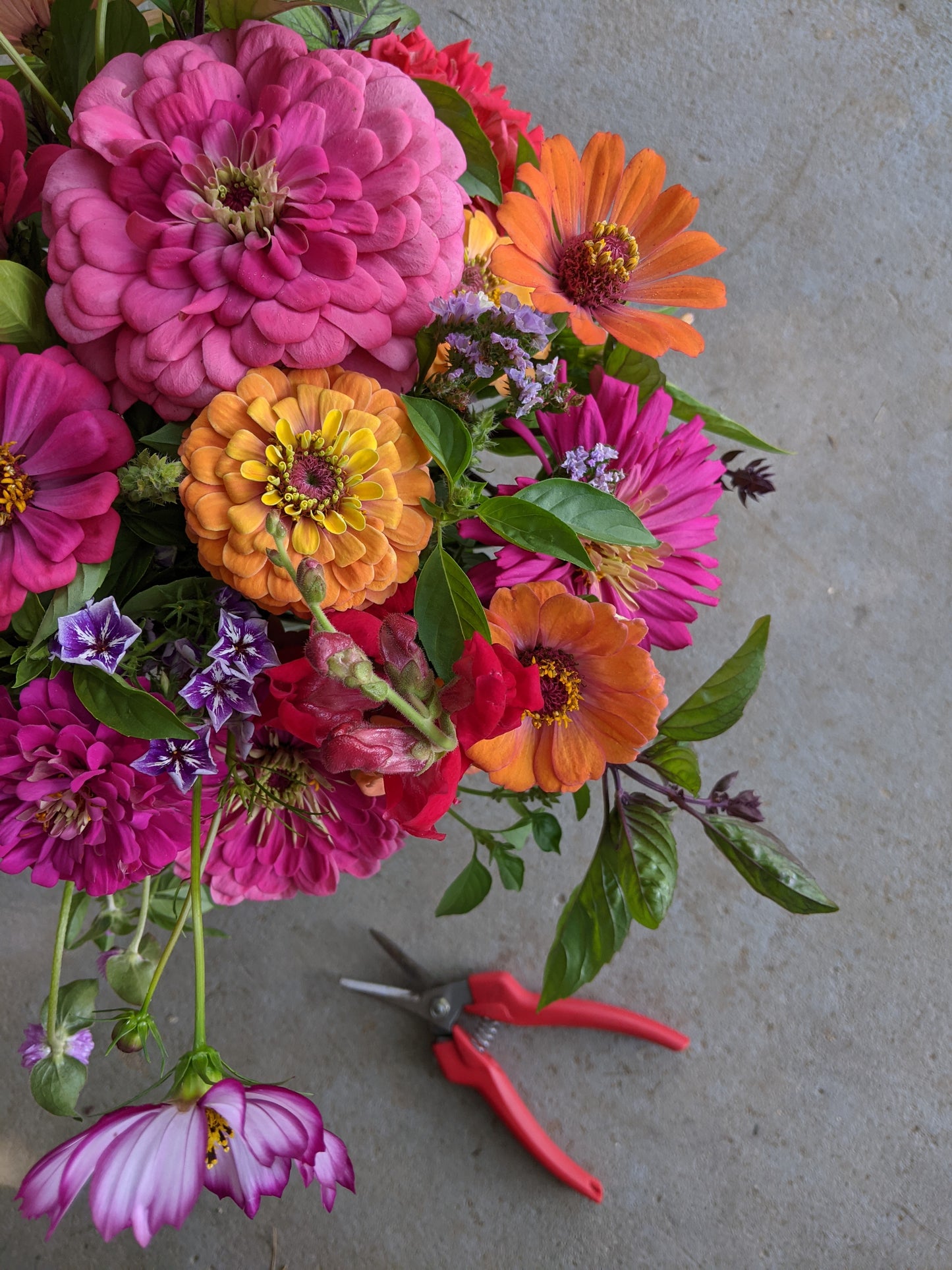 Freedom Fields Bouquet Builder Kit